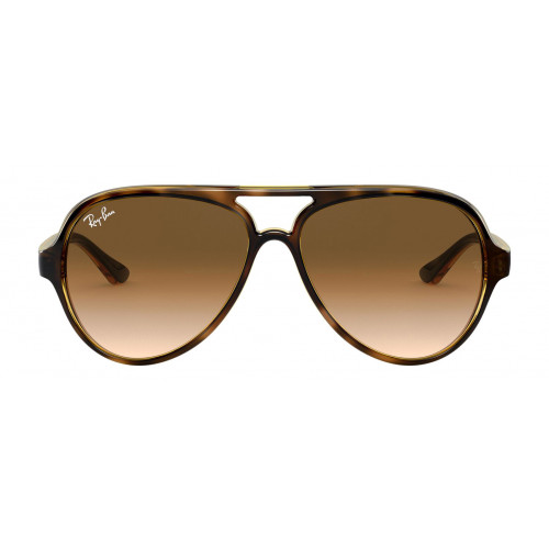 Ray-Ban 4125 SOLE
