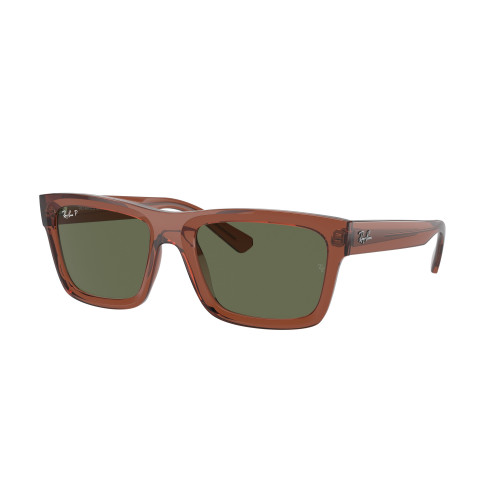 Ray-Ban 4396 SOLE