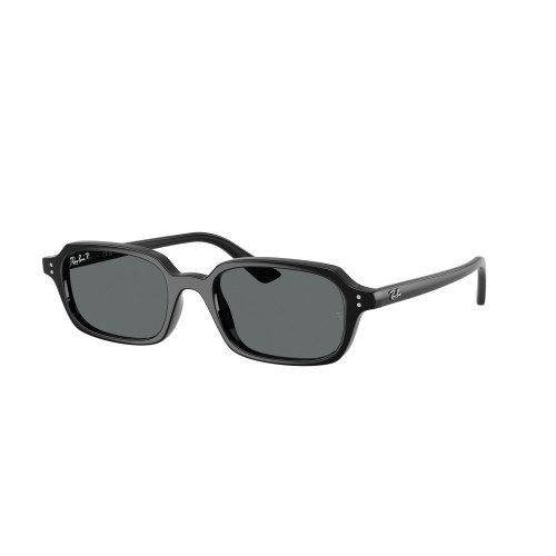 Ray-Ban 4455 SOLE