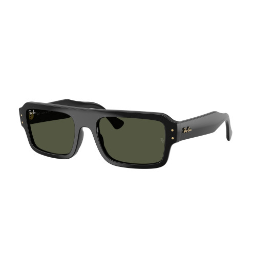 Ray-Ban 4454 SOLE