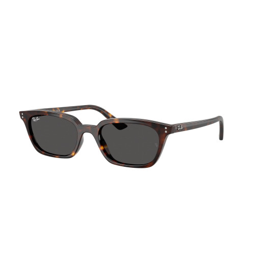 Ray-Ban 4456 SOLE