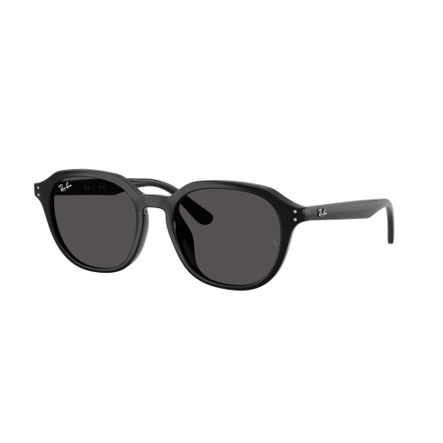Ray-Ban 4459D SOLE
