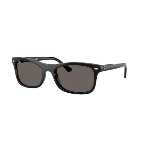 Ray-Ban 2226 SOLE